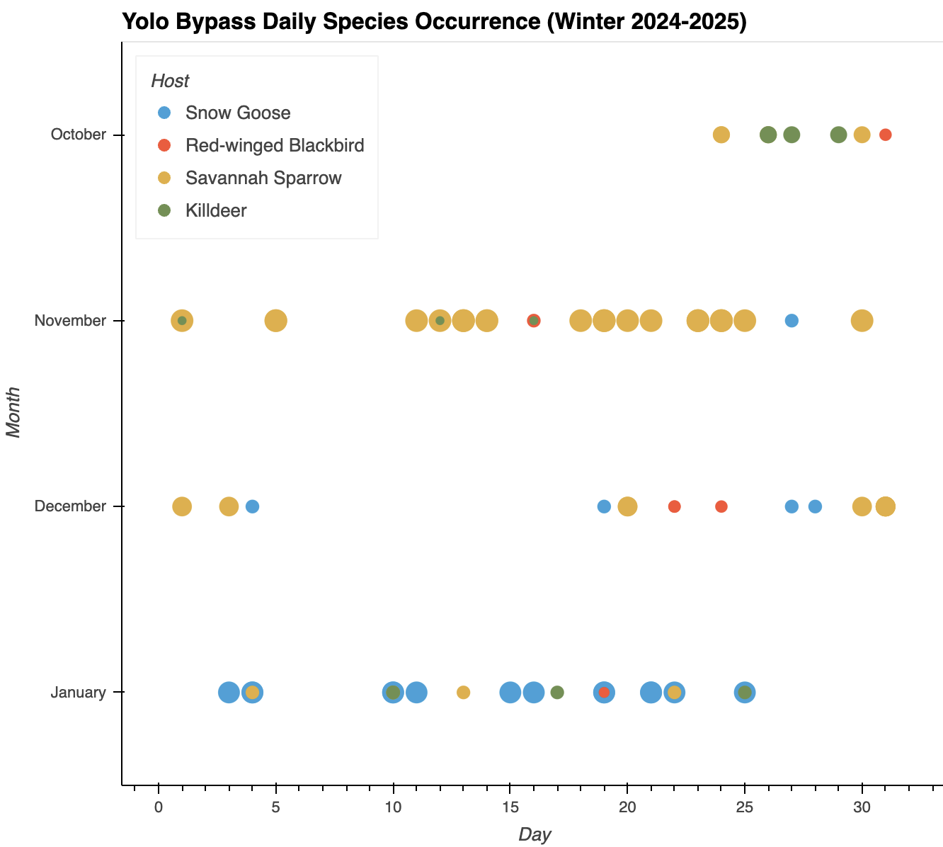 Yolo Bypass Wildlife Area Daily Host Occurrence Wintering Period 2024-2025