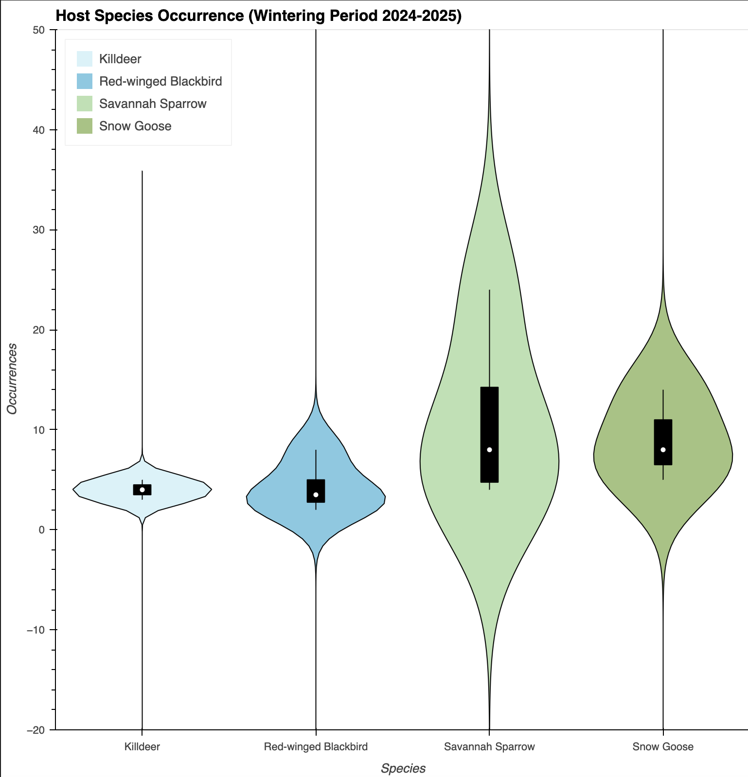 Yolo Bypass Wildlife Area Host Occurrence Wintering Period 2024-2025